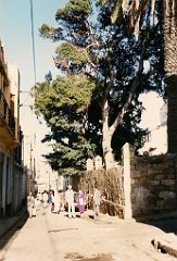 RUE ADOLPHE COUSIN ET ANGLLE RUE PERALDI